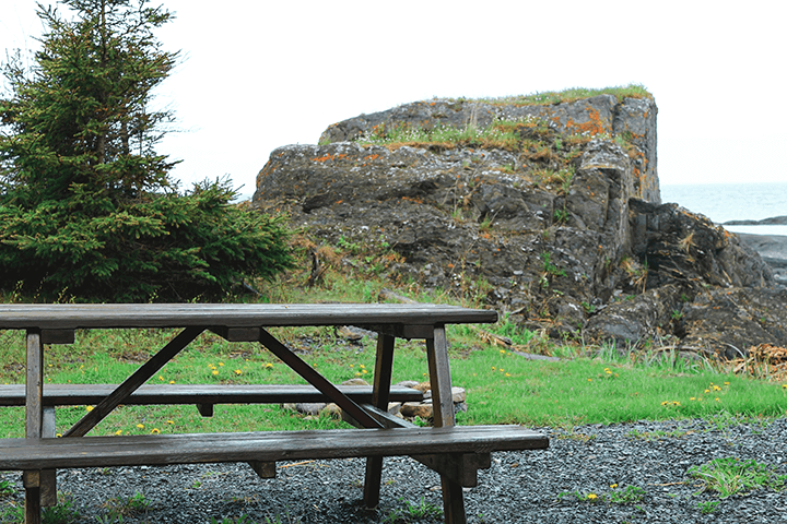 Beauty of Nature: The Perfect Length of Park Picnic Tables
